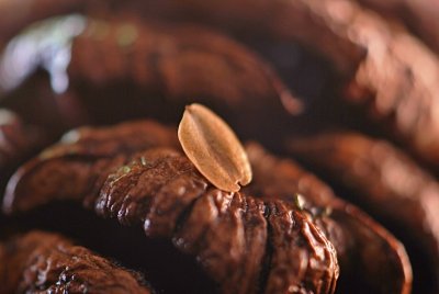 Sequoiadendron giganteum - sekvojovec obrovský - semeno